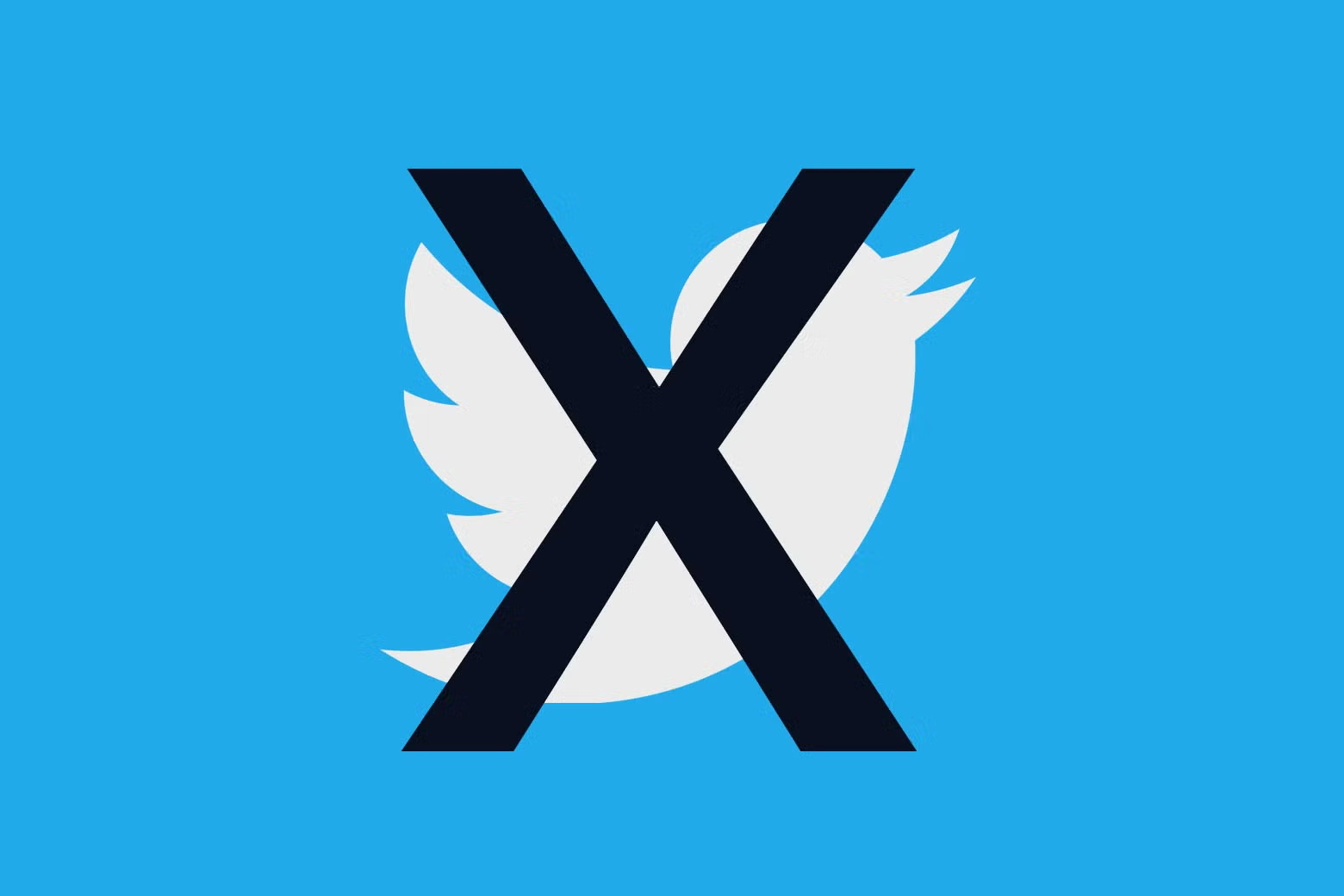 Qushlar bilan xayrlashamiz - Twitter logotipni o'zgartiradi